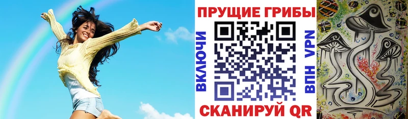 Купить где  Ладушкин  Псилоцибиновые грибы мицелий 